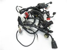 Faisceau electrique
