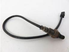 Sonde