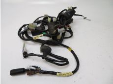 Faisceau electrique