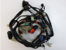 Faisceau electrique