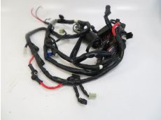 Faisceau electrique