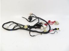 Faisceau electrique