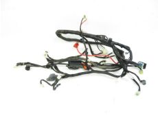 Faisceau electrique