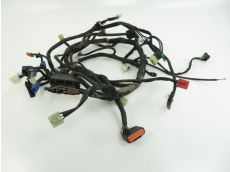 Faisceau electrique