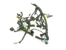 Faisceau electrique