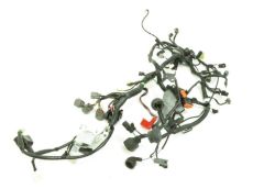 Faisceau electrique