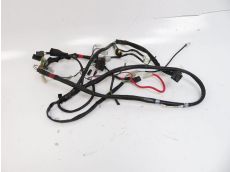 Faisceau electrique