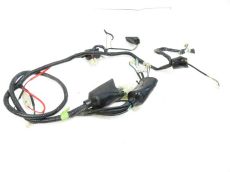 Faisceau electrique