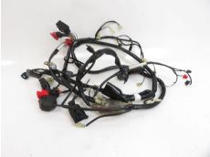 Faisceau electrique