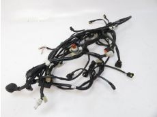Faisceau electrique