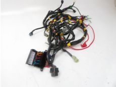 Faisceau electrique