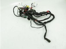 Faisceau electrique