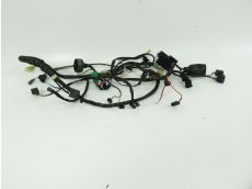 Faisceau electrique