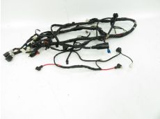 Faisceau electrique