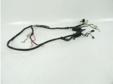 Faisceau electrique