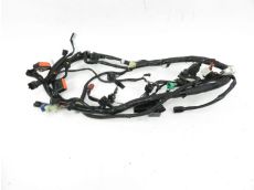 Faisceau electrique