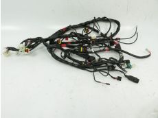 Faisceau electrique
