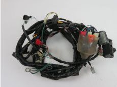 Faisceau electrique