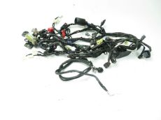 Faisceau electrique