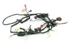 Faisceau electrique