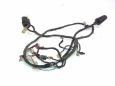 Faisceau electrique