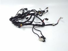 Faisceau electrique