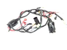 Faisceau electrique