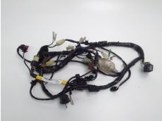 Faisceau electrique