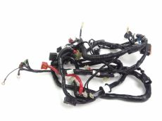 Faisceau electrique