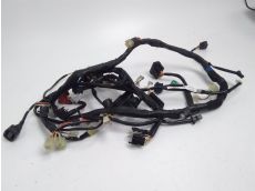 Faisceau electrique