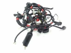 Faisceau electrique