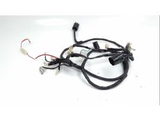 Faisceau electrique