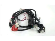 Faisceau electrique