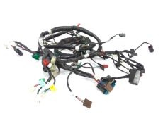 Faisceau electrique