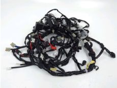 Faisceau electrique