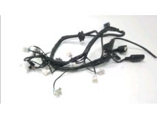 Faisceau electrique