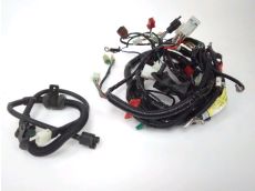Faisceau electrique