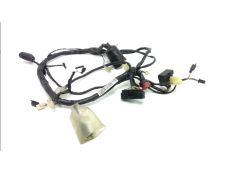 Faisceau electrique