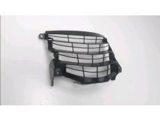 Grille de radiateur