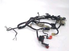 Faisceau electrique