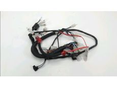 Faisceau electrique