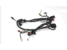 Faisceau electrique
