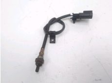 Sonde