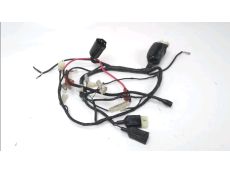 Faisceau electrique
