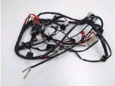 Faisceau electrique