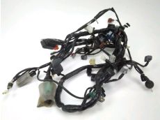 Faisceau electrique