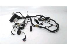 Faisceau electrique