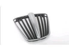 Grille de radiateur