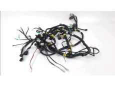 Faisceau electrique
