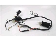 Faisceau electrique